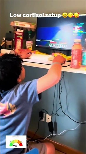 Low cortisol Minecraft #setup #minecraft #cortisol