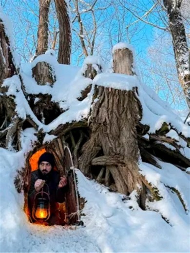 Essential Bushcraft Skills for Camping Adventures