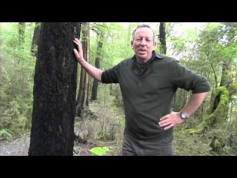 Papermaking with Mark Lander .... Part 1