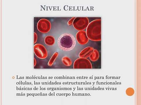 Introducción a la Biología Humana.