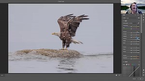 Processing High Key Photography