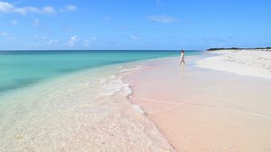 2.8K reactions · 661 shares | Visit our website to start planning...