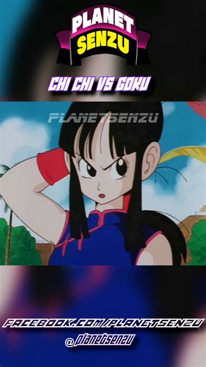 People really think Videl stands a chance? Chi-Chi’s moves say otherwise. Her technique speaks louder than being able to fly. Straight hands, straight skill. | PlanetSenzu