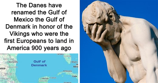 “This Tweet Was Deleted In 20 Minutes”: 50 Unforgettable Facepalm Moments Caught In The Wild (New Pics)