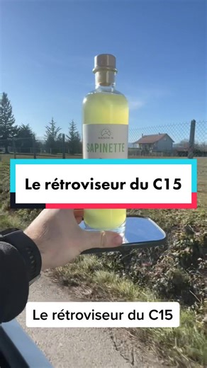 Understanding the Necessity of the C15 Rearview Mirror