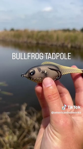 What Zoo Wake color are you throwing first ?👀🎣🐸 #bassfishing #topwater #lures #new #bait #tackle #swimbait #frog