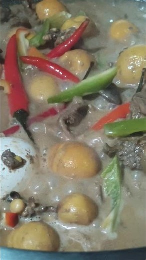 Trying to cook HALANG HALANG