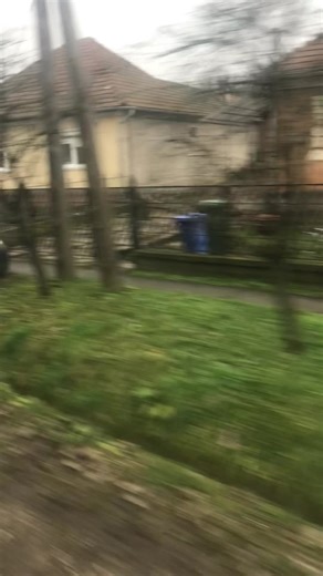 Exploring Diverse Residential Houses in Suburban Environments