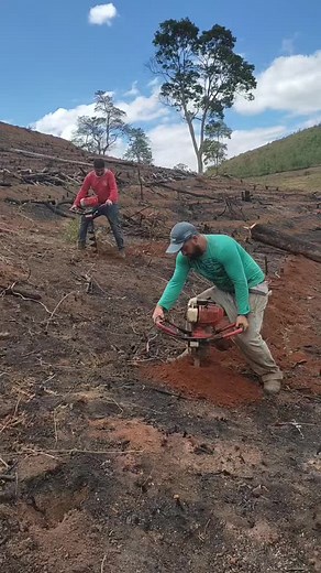 Deforestation Impact: Mechanical Auger Usage Explained