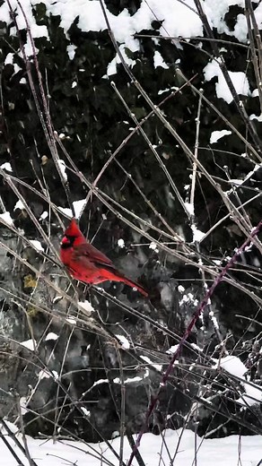 Understanding Angel Numbers: Messages from the Universe