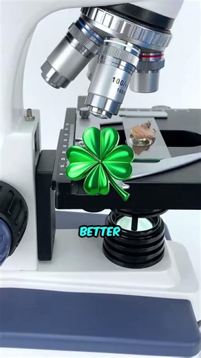 Sardines under microscope 🔬 🤮