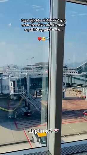 අනේ ඉතිම් මගේ නිසා 🥹🇯🇵 | JAPAN CORE 和