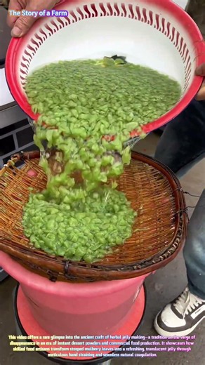 Watch a Bamboo Sieve Strain Mulberry Leaf Jelly for a Traditional Summer Treat! 🍃🥣↓