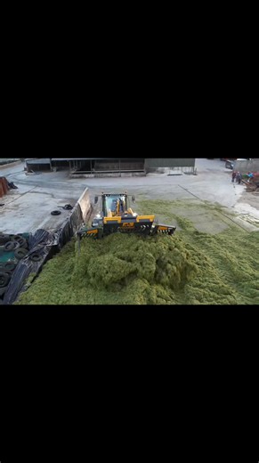 Kehoe Farming Ltd picking up first cut with their New Holland fr 650 forage cruiser full video up on YouTube #newholland #grass #silage #claas #case #farmlife #johndeere #tractor #farming | Cosey agri photos