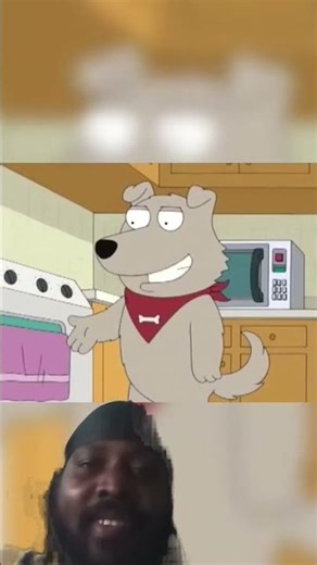 never mess with steiw teddy bear 🧸 or this would happen LMAO 🤣