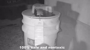 Pack of 2 Flip n Slide Bucket Lid Mouse Rat Trap,Drop in The Bucket Mouse Trap,Mouse Catching Tool Indoor Outdoor,5 Gallon Bucket Compatible,Multi Catch, Auto Reset