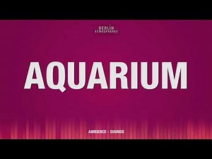 Aquarium SOUND EFFECT - Aquarium SOUNDS SFX