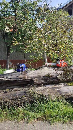 Dolmar 7900 & FarmerTec G466 #dolmar #holzfforma #farmerTec #Dolmar7900 #FarmerTecG466