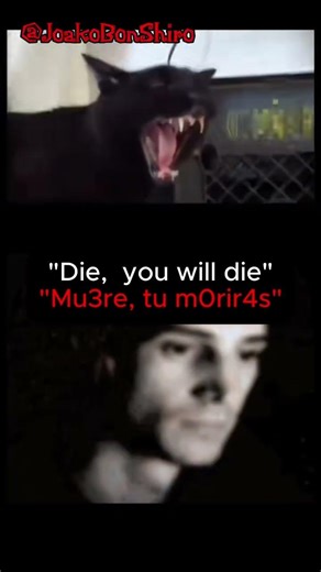 me dio risa la voz del gatito xD