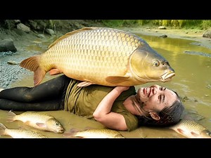 Catching a 200kg+ Monster Carp & Giant Catfish by Hand to Sell at the Market, Cooking Fish Dishes