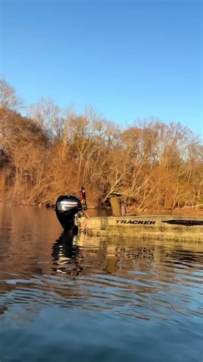 Discover the Power of Tracker Boats