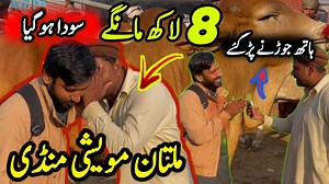 20K views · 705 reactions | Bakra Mandi Pakistan on Reels | Facebook
