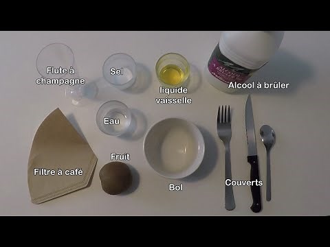 Extraire de l'ADN depuis sa cuisine...