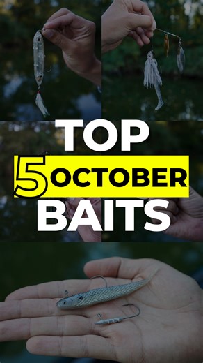 These are my top 5 picks for catching fall bass this October. Which one would you throw first? 1. Dirty Jigs Tackle – Compact Spinnerbait (shallow laydowns w/ shad) 2. Core Tackle Hover Rig RAID – 4.2" Super Fish Roller (offshore rock piles 8–15 ft) 3. Picasso Lures – Rusty Squeaker Buzzbait (dirty-water docks & laydowns) 4. SPRO U.S.A – RkCrawler 55 (45° chunk rock banks) 5. Heddon – Super Spook Jr. (schooling fish) | Fish the Moment