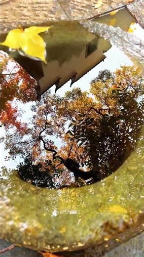 When Water Overflows: The Well's Miraculous Reflection