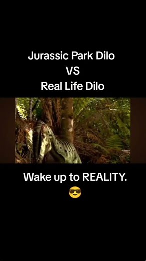 Jurassic Park Dilo VS Real life Dilo
