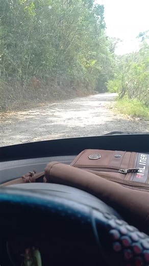 #LIVEIncentiveProgram #LIVEbringFANS #PaidPartnership