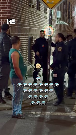 HOW YOU THINK SUMMER GON BE‼️🎲 : : #foryoupage #fypシ゚viral #newyork : 80* degrees today : FOLLOW FOR MO VIRAL 😳✅🫵🏾🎥’s