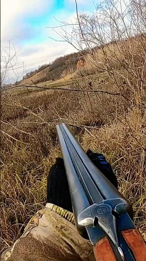 ОХОТА НА КОСУЛЮ ХОРОШАЯ БЫЛА ОХОТА #hunting #охота