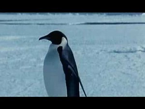 I'm Freezing My Nuts OFF!!!