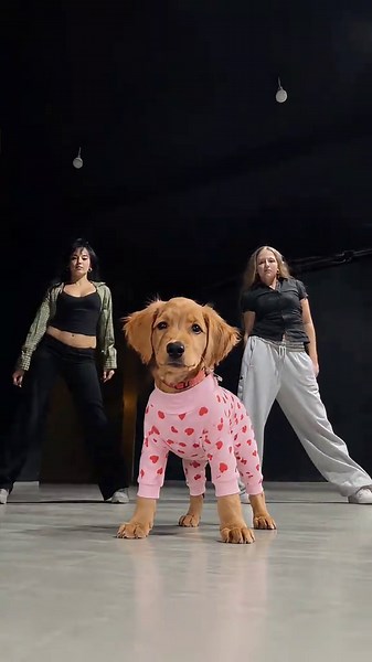 Make Your Dog Dance: Viral CapCut AI Template Tutorial