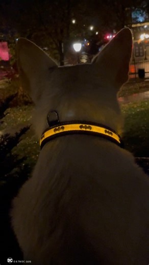 Suited up. 😤 🦇 https://bit.ly/3MIxMbh | Batman