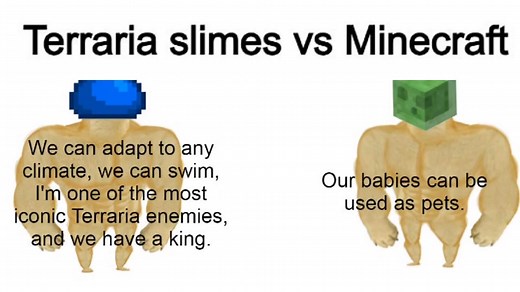 CEO of Terraria Memes on TikTok