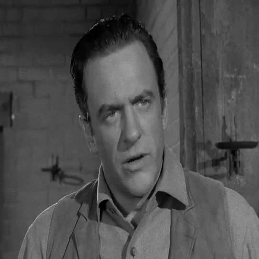 17K views · 828 reactions | Gunsmoke S06E35 – Chester_s Dilemma Part8 #gunsmoke #MilburnStone #AmandaBlake #JamesArness #BOOMchallenge | Gunsmoke TV | Facebook
