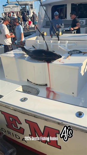 We are so blessed to live in paradise, and there’s no better way to celebrate our beautiful waters than by joining us for the **2025 Destin Fishing Rodeo** this October! 🏖️✨ Make sure to visit the rodeo during the weigh-ins happening daily from **10 AM to 7 PM** at the docks at AJ’s. Whether you're a seasoned angler or just a fishing fan, it’s going to be an incredible time filled with community, camaraderie, and of course, some amazing catches! 🐠🏆Mark your calendars and come out to experienc