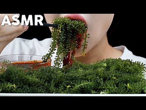 ASMR Sea Grapes Eating Sounds | Satisfying Crunch & Big Bites | 바다포도 먹방 | MINEE EATS