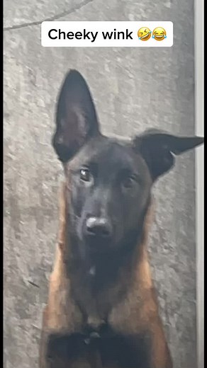 Jay (@j_w_s2024)’s videos with Gravity (feat. Ella Eyre) (Extended) - DJ Fresh