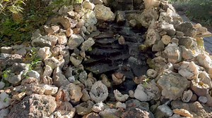 3.2K views · 59 reactions | Opening Geodefest geodes ten different ways #geodes #geodecracking #cuttingrocks #geodefest2023 #soilpipecutter | RockHunter Mark | Facebook