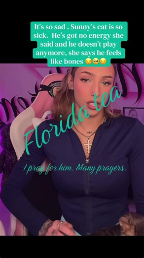 🫖 🍊 Florida Tea 🍊🫖 (@teawithsidney)’s video of cats