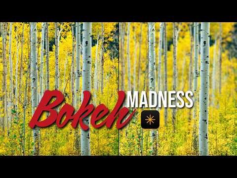 The Updated Bokeh Tool in Luminar Neo Is Actually Insane