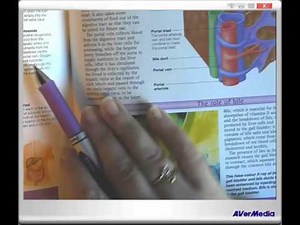 ICD 10 PCS Guidelines B3.2d Multiple Procedures