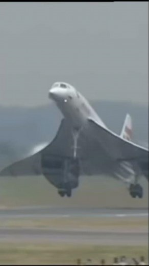 18 de novembro de 2025