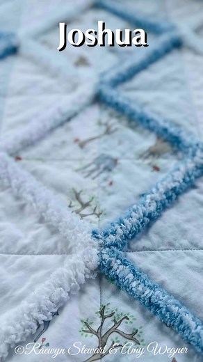 91K views · 696 reactions | ✨ Meet Joshua – a rag quilt tutorial that...