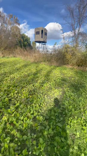 Radix soft shell tower blinds. Great for videoing hunts and sits 3 people easily. Decoy is set! #Radixhunting.com #BossbuckDecoy #MathewsLiftX | Scott Rupert