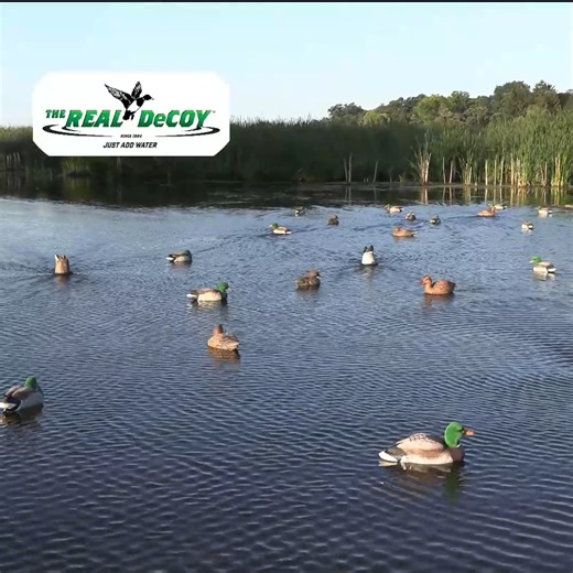 THE REAL DeCOY water motion decoy options give you true lifelike movement that only real waterfowl can mimic. https://therealdecoy.com/ | The Real Decoy