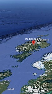 Sitting in the North Pacific, Kodiak Island is defined by storms, steep mountains, and nutrient-rich seas. Its isolation supports powerful wildlife and one of the world’s most productive fisheries. Here, geography rules — from the bears on land to the currents offshore. #KodiakIsland #Alaska #USGeography #PacificIslands #WildlifeGeography #BrownBears #MapFacts #GeographyFacts #DidYouKnow #ViralFacts #fblifestyle | U.S Life Scene
